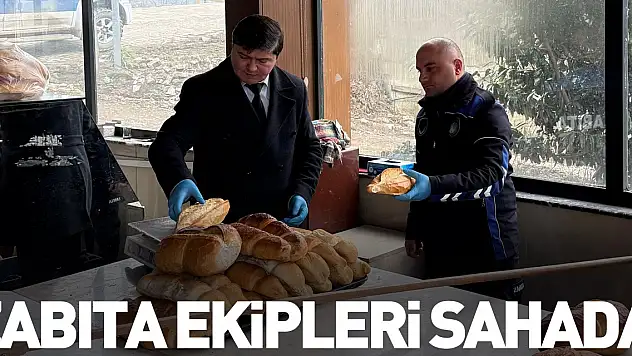 Zabıta Ekipleri Sahada