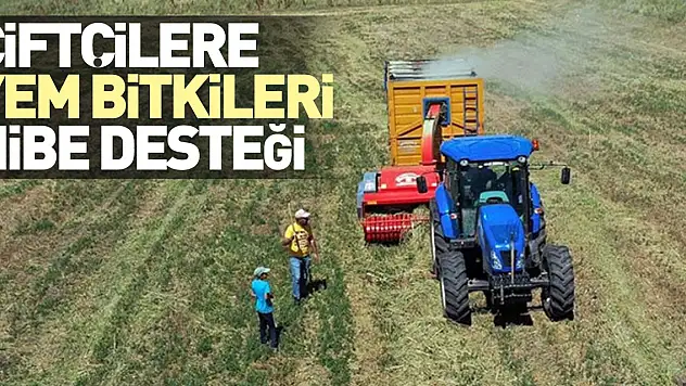 Çiftçilere Yem Bitkileri Hibe Desteği