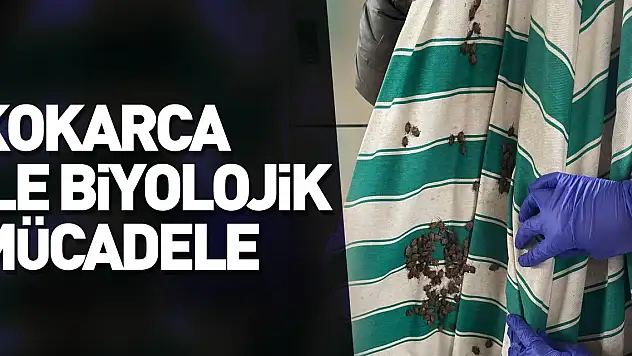 Kokarca ile biyolojik mücadele