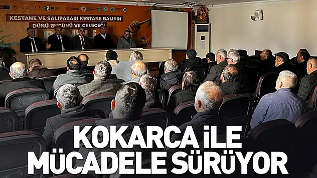 Kokarca ile mücadele sürüyor