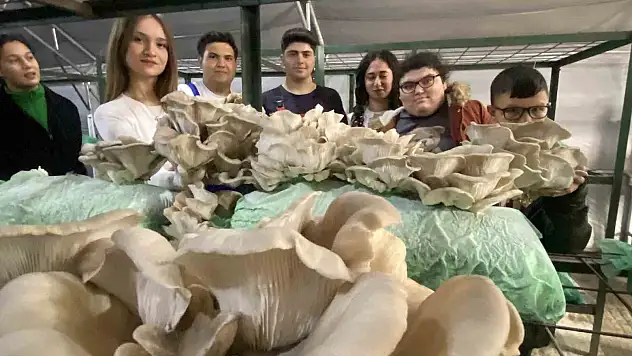 Tarım lisesi öğrencileri, özel eğitim öğrencileriyle mantar hasadı yaptı