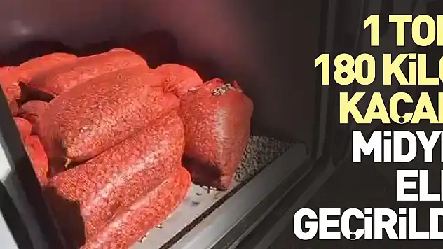 1 ton kaçak midye ele geçirildi