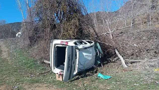 Ticari araç şarampole uçtu