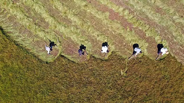 Çiftçilere 3,3 milyar lira destek ödemesi yapılacak