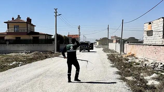 Köpeklerin saldırdığı bebeğin ölümünün ardından soruşturma!