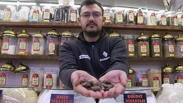 Sigara tiryakilerine çözüm yolu: Karabaş otu