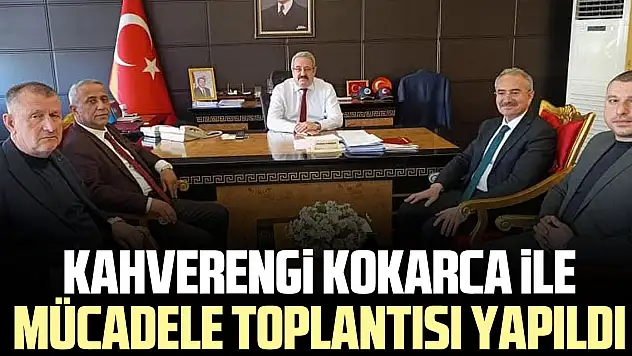 Kahverengi kokarca ile mücadele toplantısı yapıldı