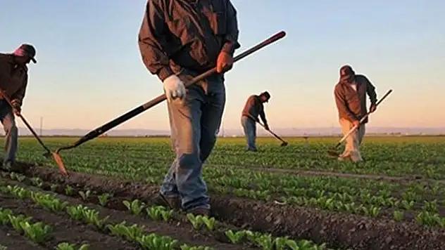 Yüzde 75,6'sı işçi bulamıyor