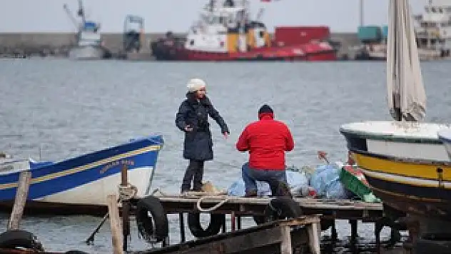 Balıkçı Barınağı FOKUS'landı