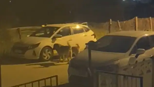 Yüz binlerce liralık hasarın bedelini belediyeden talep etti