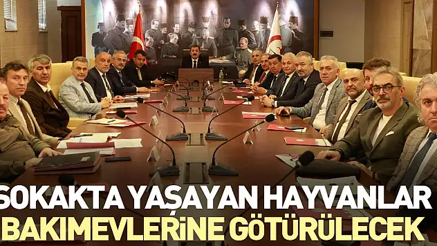 Sokakta yaşayan hayvanlar bakımevlerine götürülecek