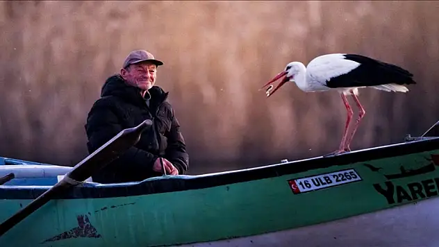 'Yaren' leylek yeniden yuvasında!