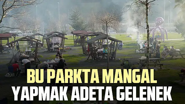 BU PARKTA MANGAL YAPMAK ADETA GELENEK