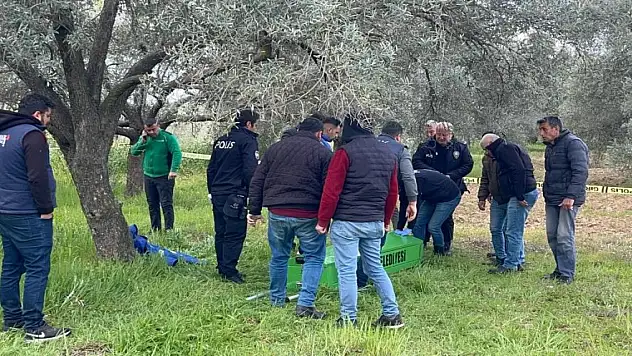 Cansız bedeni zeytin bahçesinde bulundu