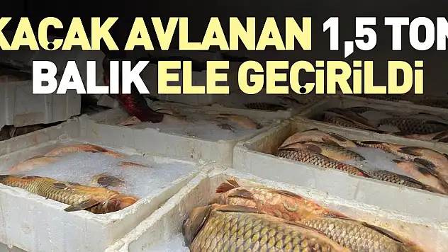 Kaçak avlanan 1,5 ton balık ele geçirildi