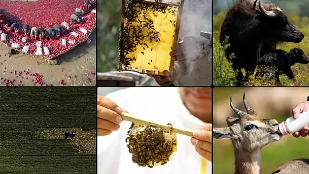 Dünyada 8. sırada yer alıyor