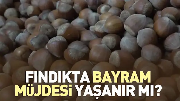 FINDIKTA BAYRAM MÜJDESİ YAŞANIR MI?