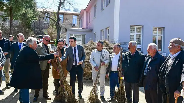 Çiftçilere yüzde 80 hibe ile fidan dağıtıldı