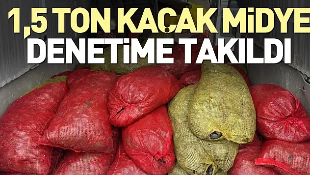 1,5 ton kaçak midye denetime takıldı