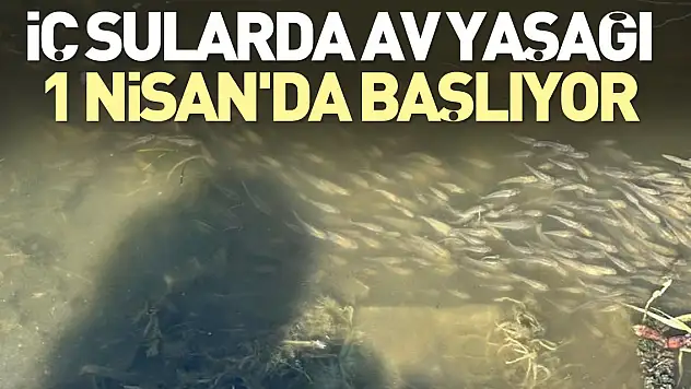 Av yasağı 1 Nisan'da başlıyor