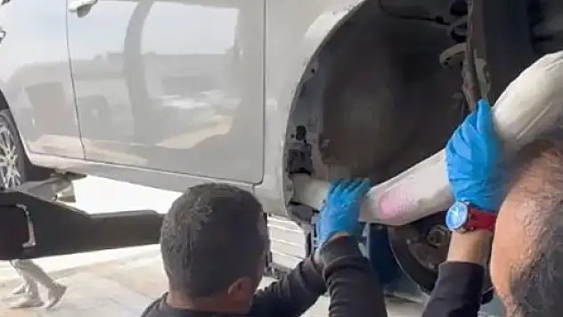 Narkotik köpekleri iş başında