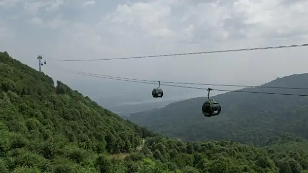 Yüzde 50 indirim uygulanacak