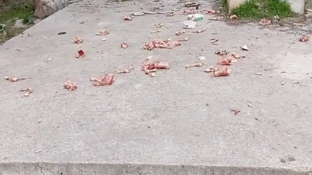 Vatandaşlar çileden çıktı