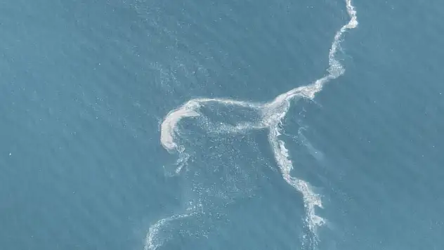 Müsilaj yeniden ortaya çıktı