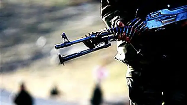 Bingöl'de terör operasyonu