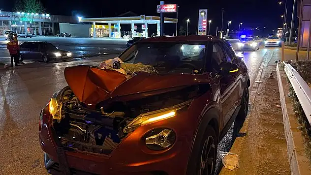 Yolun karşısına geçmek isterken canından oldu