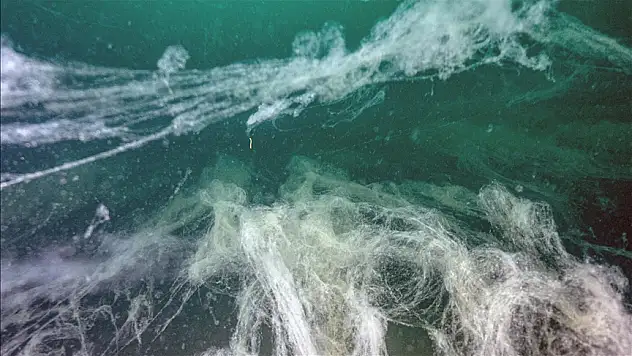 Balıkçılar ağlarını erken topladı