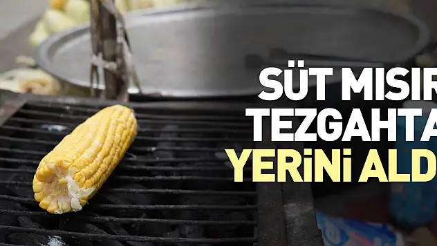Süt mısır tezgahta yerini aldı