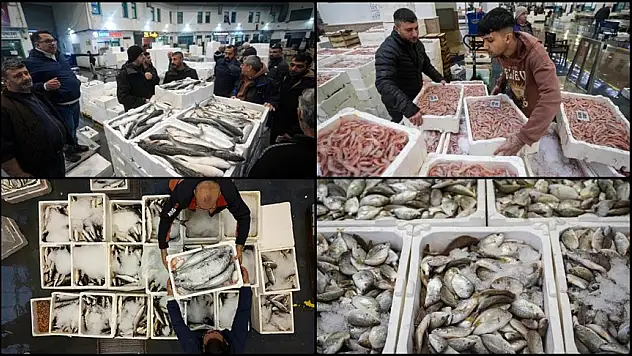 Egeli balıkçılar sezonu geçen yılın üzerinde balıkla kapatacak