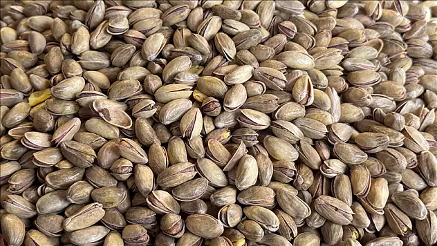 Türkiye'den yılın ilk çeyreğinde 59,7 milyon dolarlık fıstık ihraç edildi