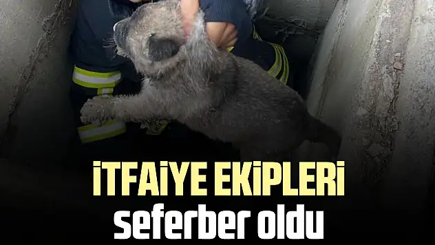 İtfaiye ekipleri seferber oldu