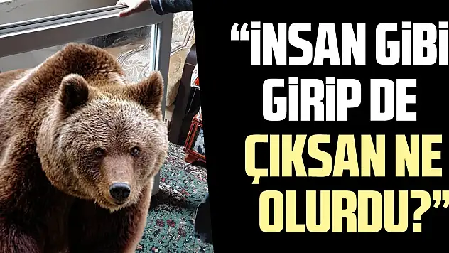 'insan gibi  girip de  çıksan ne olurdu?'