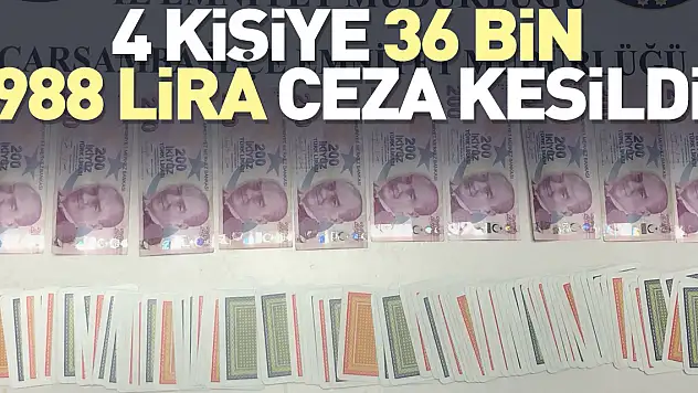 4 kişiye 36 bin 988 lira ceza kesildi