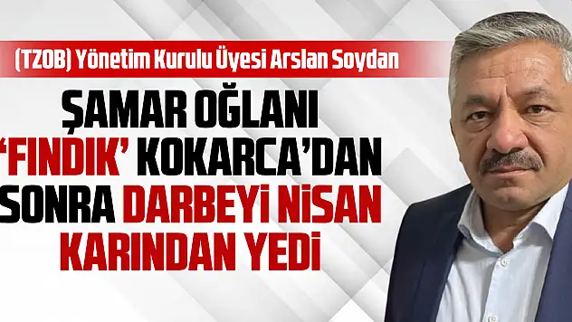 ŞAMAR OĞLANI 'FINDIK' KOKARCA'DAN SONRA DARBEYİ NİSAN KARINDAN YEDİ