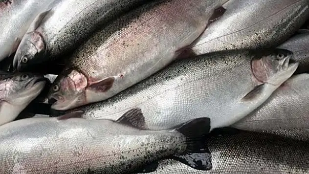 84,4 milyon doları aştı