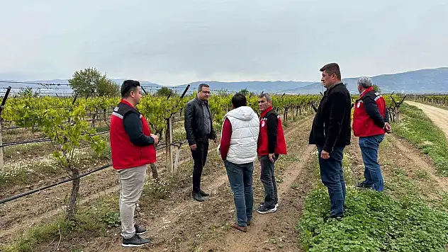 Kaymakam Dalak don zararı gören bağlarda incelemelerde bulundu