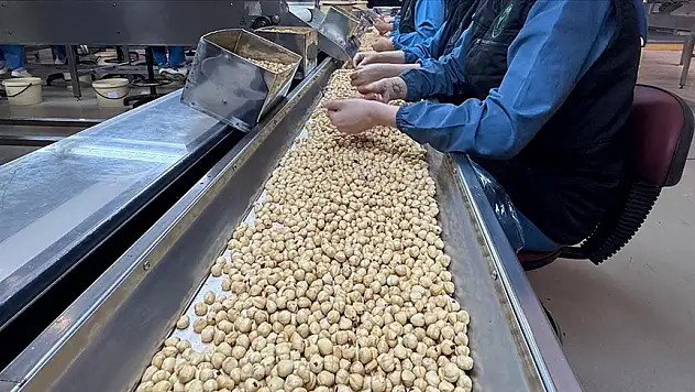 Fındıkta 2,5 milyar dolar ihracat geliri hedefleniyor