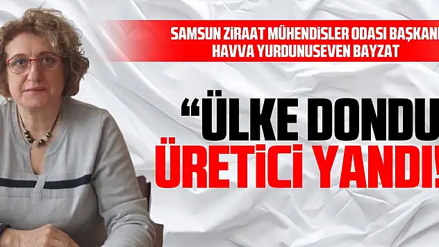 'ÜLKE DONDU,ÜRETİCİ YANDI!'
