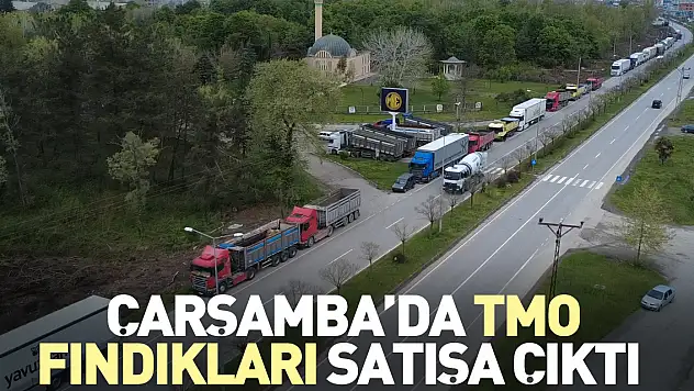 Çarşamba'da TMO fındıkları satışa çıktı