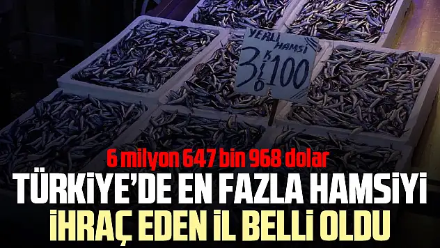 TÜRKiYE'DE EN FAZLA HAMSiYi iHRAÇ EDEN iL BELLi OLDU