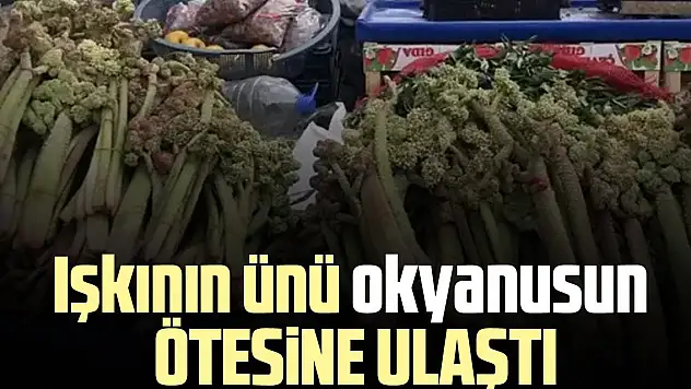 Işkının ünü okyanusun ötesine ulaştı