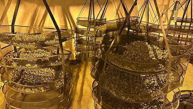 'Orkinos-Bulut' operasyonunda detaylara ulaşıldı