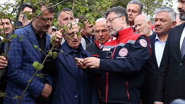'Zirai don nedeniyle zarar gören ağaçlarda kulaktan dolma bilgilerle budama yapılmamalı'