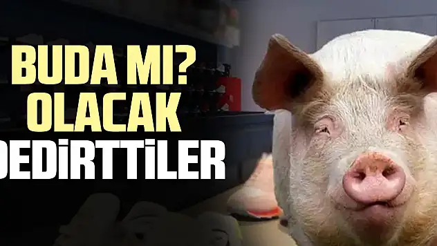 BUDA MI? OLACAK DEDiRTTiLER