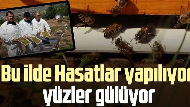 Bu ilde Hasatlar yapılıyor yüzler gülüyor