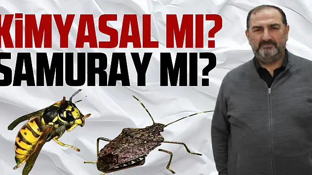 Kimyasal mı? Samuray mı?